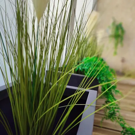 Le D'arsene Avec Terrasse Et Garage En Option A 200 M De La