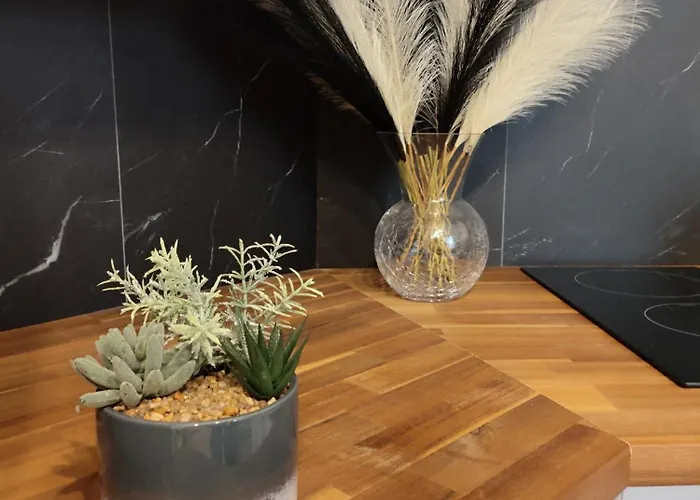 דירה Le D'arsene Avec Terrasse Et Garage En Option A 200 M De La