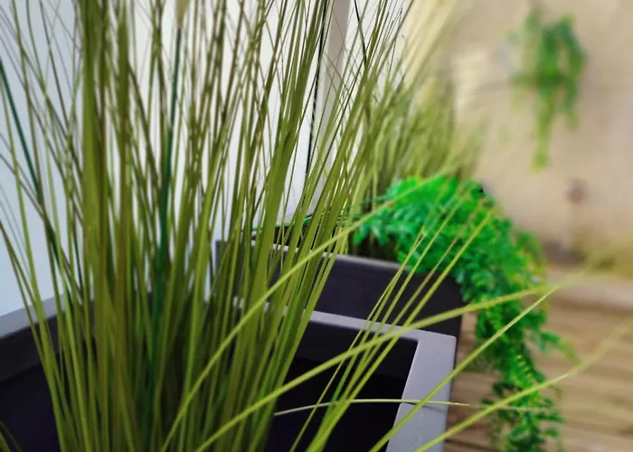 Le D'arsene Avec Terrasse Et Garage En Option A 200 M De La