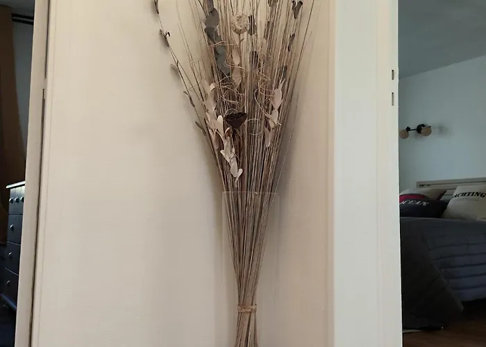 Le D'arsene Avec Terrasse Et Garage En Option A 200 M De La דירה *