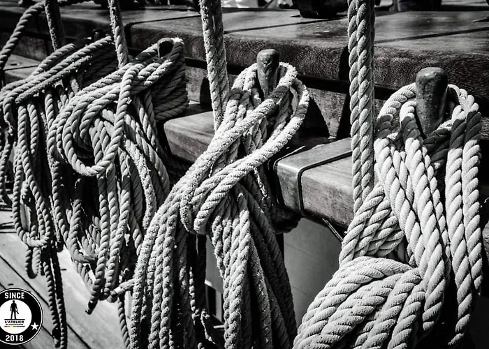 Le D'arsene Avec Terrasse Et Garage En Option A 200 M De La *