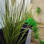 Le D'arsene Avec Terrasse Et Garage En Option A 200 M De La