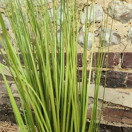 Le D'arsene Avec Terrasse Et Garage En Option A 200 M De La