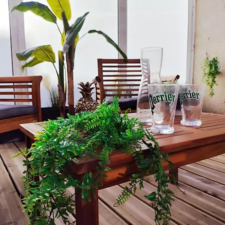 Daire Le D'arsene Avec Terrasse Et Garage En Option A 200 M De La *