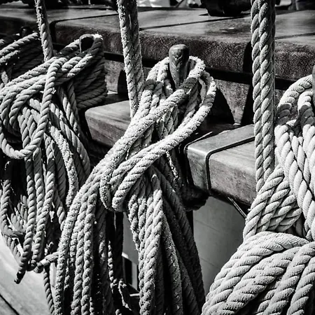 Le D'arsene Avec Terrasse Et Garage En Option A 200 M De La *