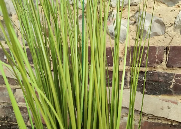 Le D'arsene Avec Terrasse Et Garage En Option A 200 M De La